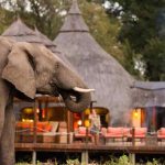 Luxury south africa safari lodges homestead