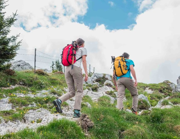 Hiking and walking tours for beginners